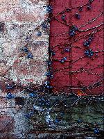 "Berries on the Wall #137"