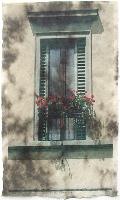 "Window-Florence Italy"