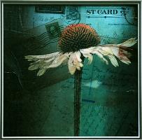 "More Postcards from the Garden"