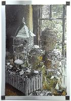 "Still Life-Garden Shop"
