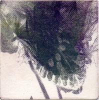"Seed Pod 2"