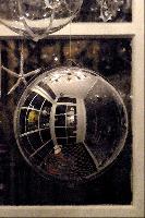 "Night Magic-Shop Window"