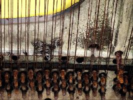 "Rustic Overture"