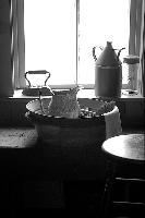 "Morning Light"
