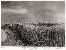 "Approaching Storm"