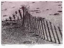 "Early Light"