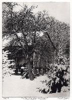 "New England Snow"