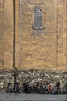 "Morning Commute-Florence"