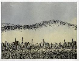 "Shifting Dunes"