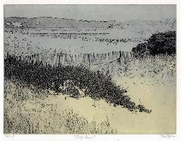 "Cape View"