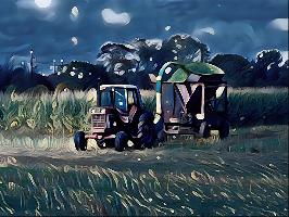 "Moonlight Harvest"