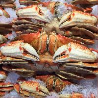 "Fishmongers Prize"