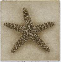 "Starfish"