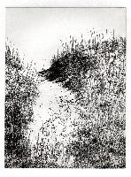 "009 Dune Pathway"
