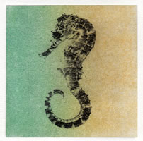 "Sea Horse"