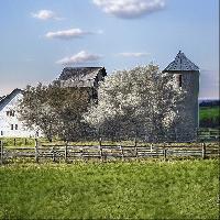 "Silo"