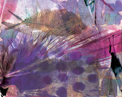 "feathers & fins"