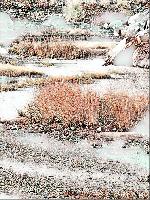 "Plymouth Beach"