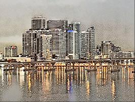 "Miami Lights"