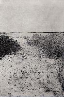 "010 Beach Pathway"