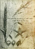 "The Cure"