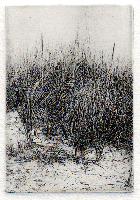 "Beach Grasses"