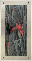 "Scarlet Iris"