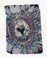 "working title--Altered sunflower"