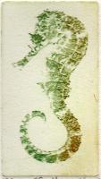 "Sea Horse"